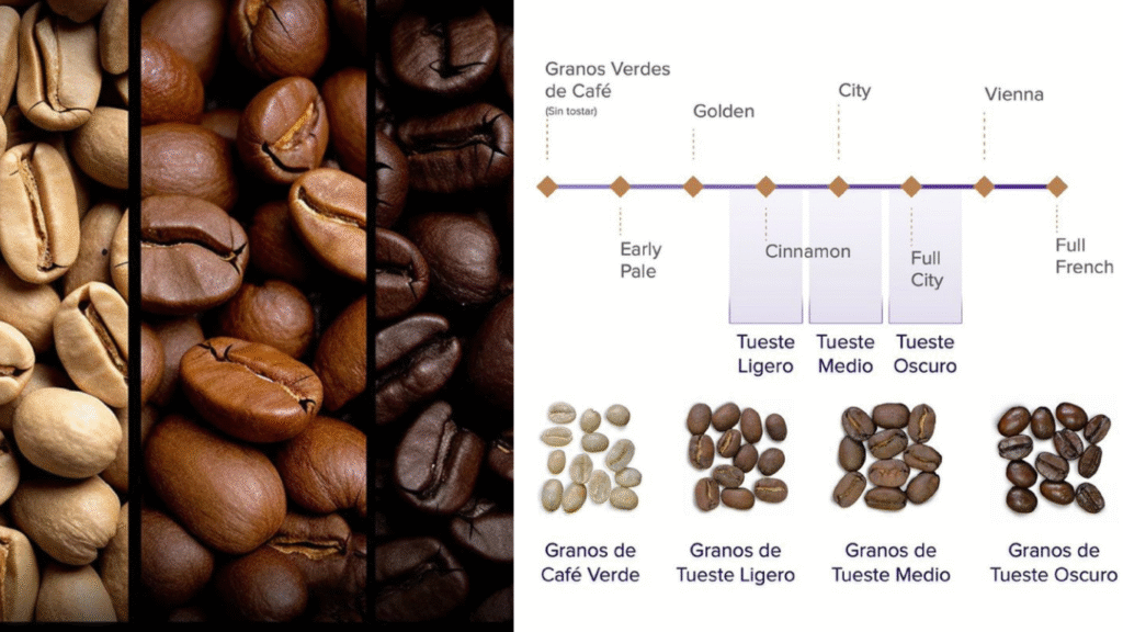 La Guía Definitiva Para Elegir el Mejor Café En Grano Análisis Tipos y Consejos Expertos 9 Como Elegir el Cafe en Grano Perfecto Segun Tu Metodo de Preparacion KarafeCoffee